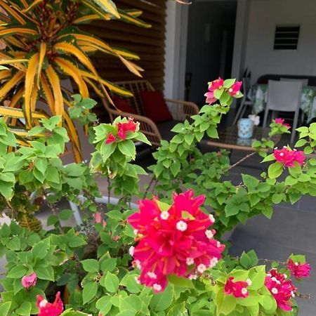 Le Tropical Appartement 1 Ou 2 Chambres Les Anses-d'Arlets Bagian luar foto