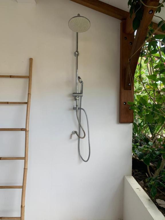 Le Tropical Appartement 1 Ou 2 Chambres Les Anses-d'Arlets Bagian luar foto